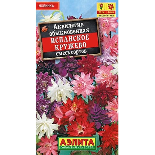 Аквилегия Испанское кружево