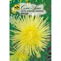 Астра Маша Семко