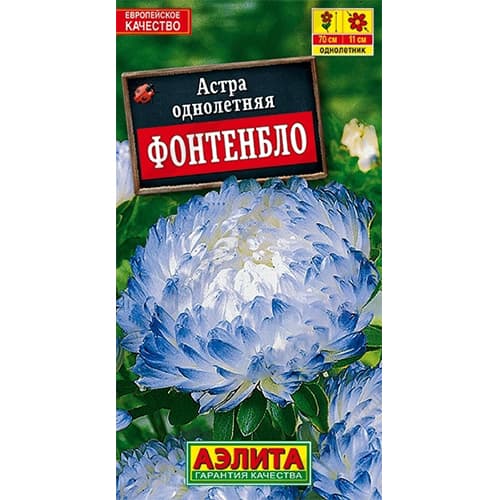 Астра пионовидная Фонтенбло Аэлита
