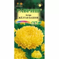 Астра пионовидная Желтая башня Гавриш