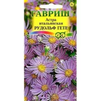 Астра Рудольф Гете Гавриш