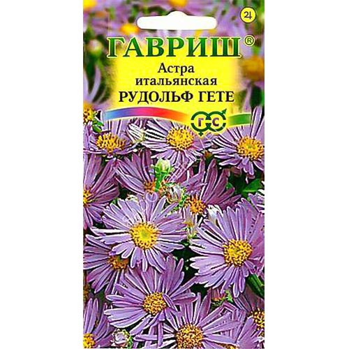 Астра Рудольф Гете Гавриш