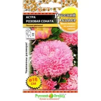 Астра Русский Размер Розовая соната НК