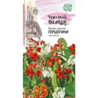 Фасоль красная Герцогиня