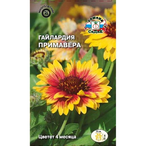 Гайлардия Примавера Седек