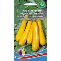 Кабачок цуккини Гордость Сибири Уральский дачник