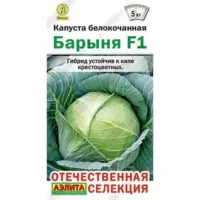 Капуста белокочанная Барыня F1 Аэлита