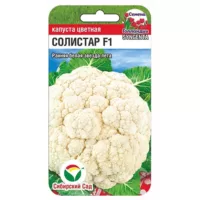 Капуста цветная Солистар Сибирский сад