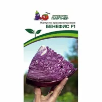 Капуста краснокочанная Бенефис Партнер