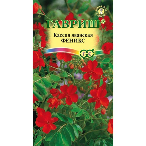 Кассия Феникс Гавриш