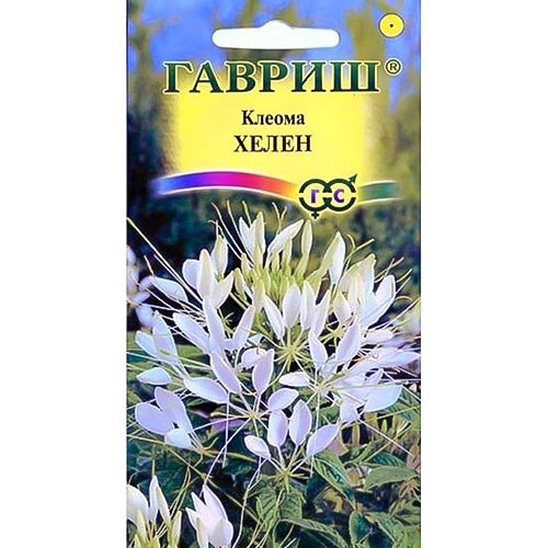 Клеома Хелен белая Гавриш