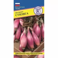 Лук шалот Стиляга Престиж