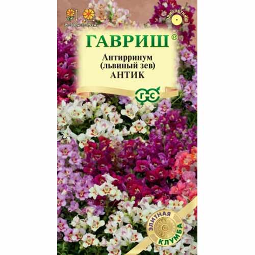 Львиный зев (антирринум) Антик
