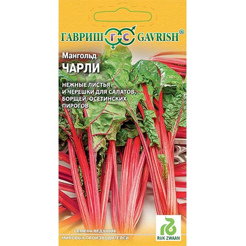 Мангольд Чарли Гавриш
