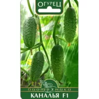 Огурец Каналья F1 Биотехника
