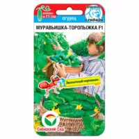 Огурец Муравьишка-торопыжка Сибирский сад