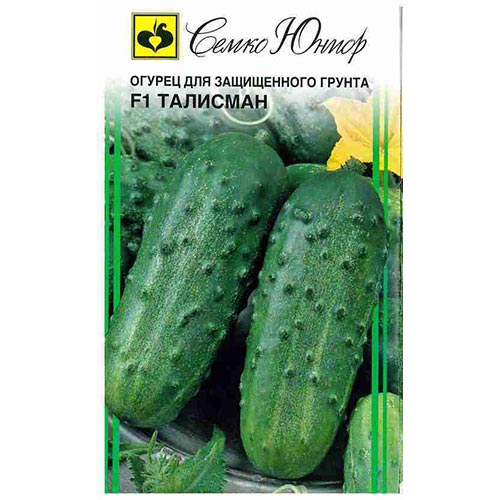 Огурец Талисман F1 Семко