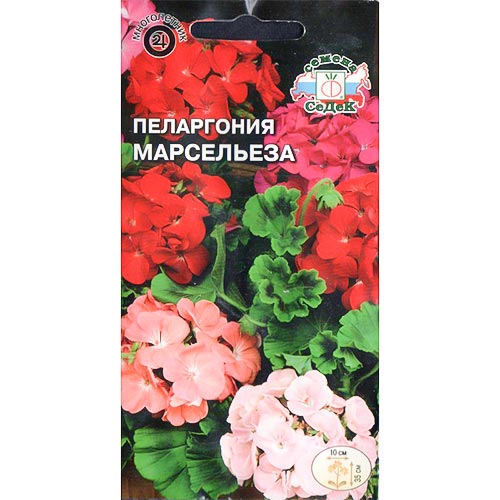 Пеларгония Марсельеза