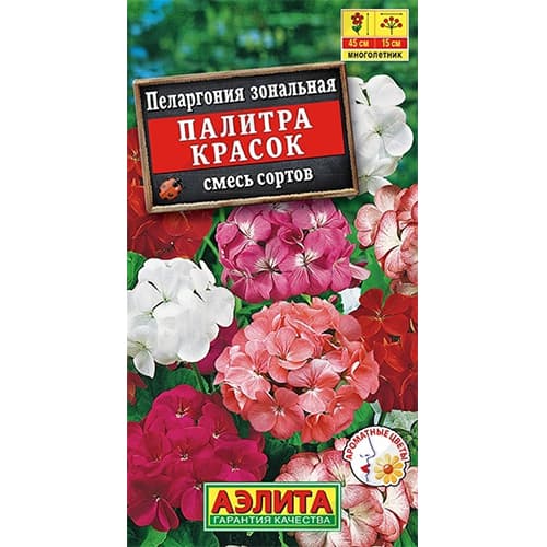 Пеларгония зональная Палитра красок