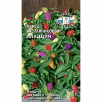 Перец острый кустарниковый Аладдин Седек