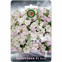Петуния каскадная Эклиптика Вега F1 Биотехника