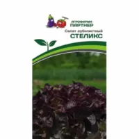 Салат дуболистный Стеликс Партнер