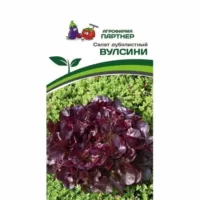 Салат дуболистный Вулсини Партнер