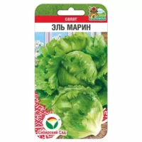 Салат кочанный Эль Марин Сибирский сад