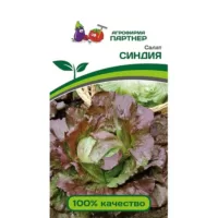 Салат кочанный Синдия Партнер