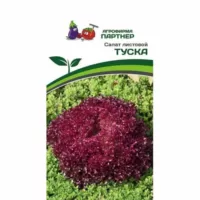 Салат листовой Туска Партнер