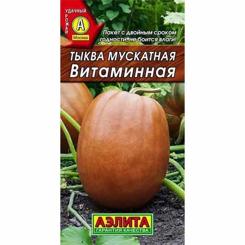 Тыква мускатная Витаминная Аэлита