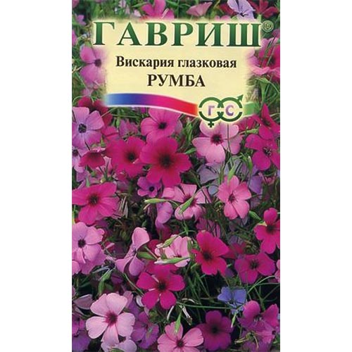Вискария Гавриш