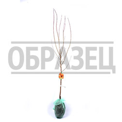 Абрикос Краснощекий (подвой абрикос) (в сетке)
