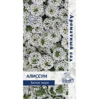 Алиссум Белое море (Ароматный сад)