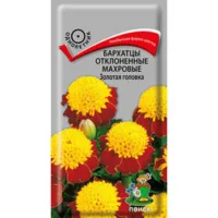 Бархатцы отклоненные махровые Золотая головка