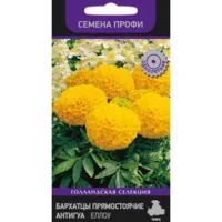 Бархатцы прямостоячие Антигуа Еллоу (Семена Профи)