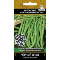 Фасоль овощная Черный опал