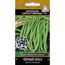 Фасоль овощная Черный опал