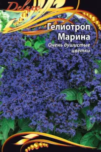 Гелиотроп Марина цв/п 0