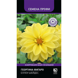 Георгина Фигаро Еллоу Шейдес (Семена Профи)