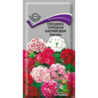 Гвоздика Турецкая карликовая Пиноккио