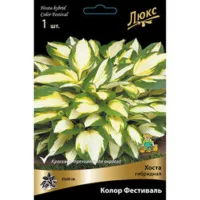 Хоста гибридная Колор Фестиваль