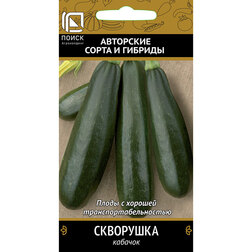 Кабачок Скворушка
