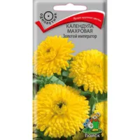 Календула махровая Золотой император