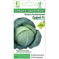 Капуста белокочанная Орфей F1 (Грядка здоровья)