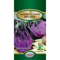 Капуста кольраби Виолета