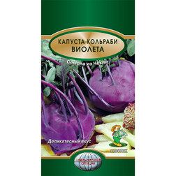 Капуста кольраби Виолета