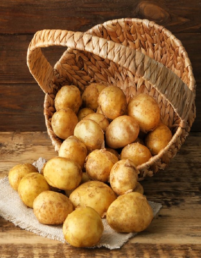 Картофель Латона