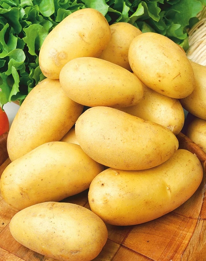 Картофель Леди Анна