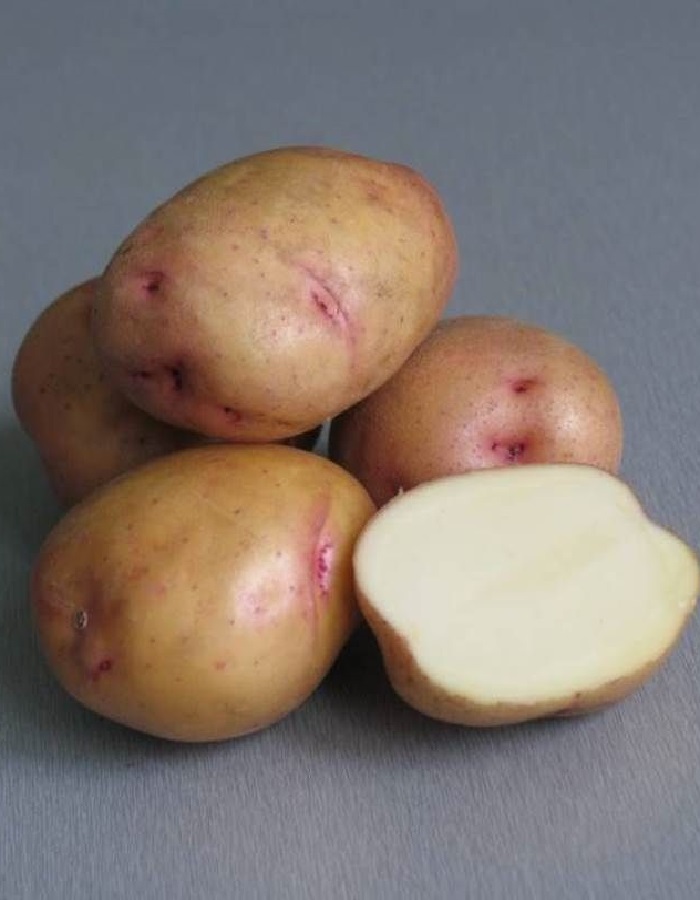 Картофель Жуковский ранний